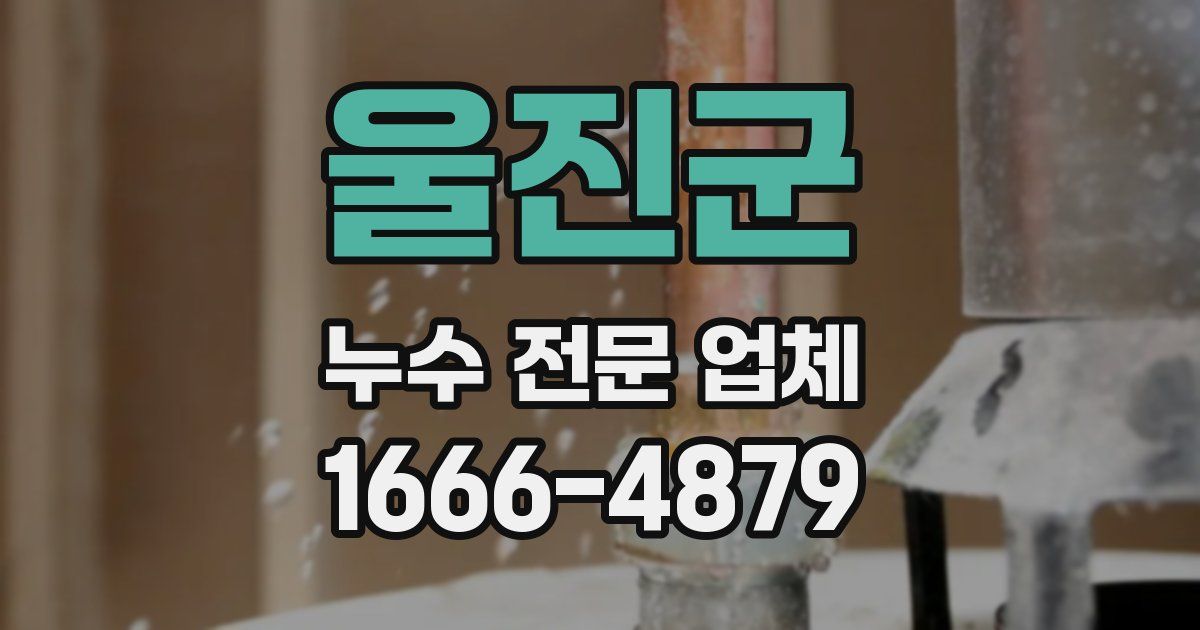 울진군 누수 전문 업체