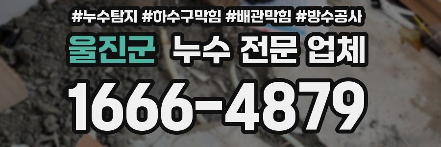 울진군 누수 전문 업체