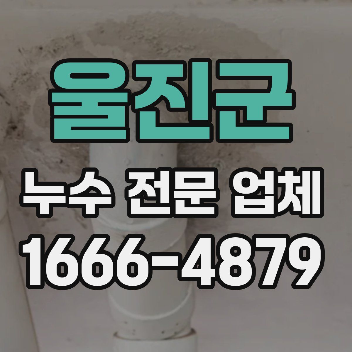 울진군 누수 전문 업체
