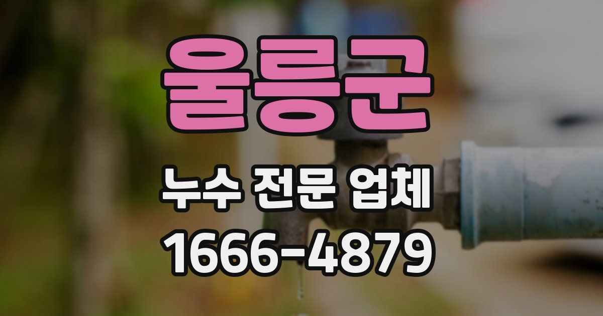 울릉군 누수 전문 업체