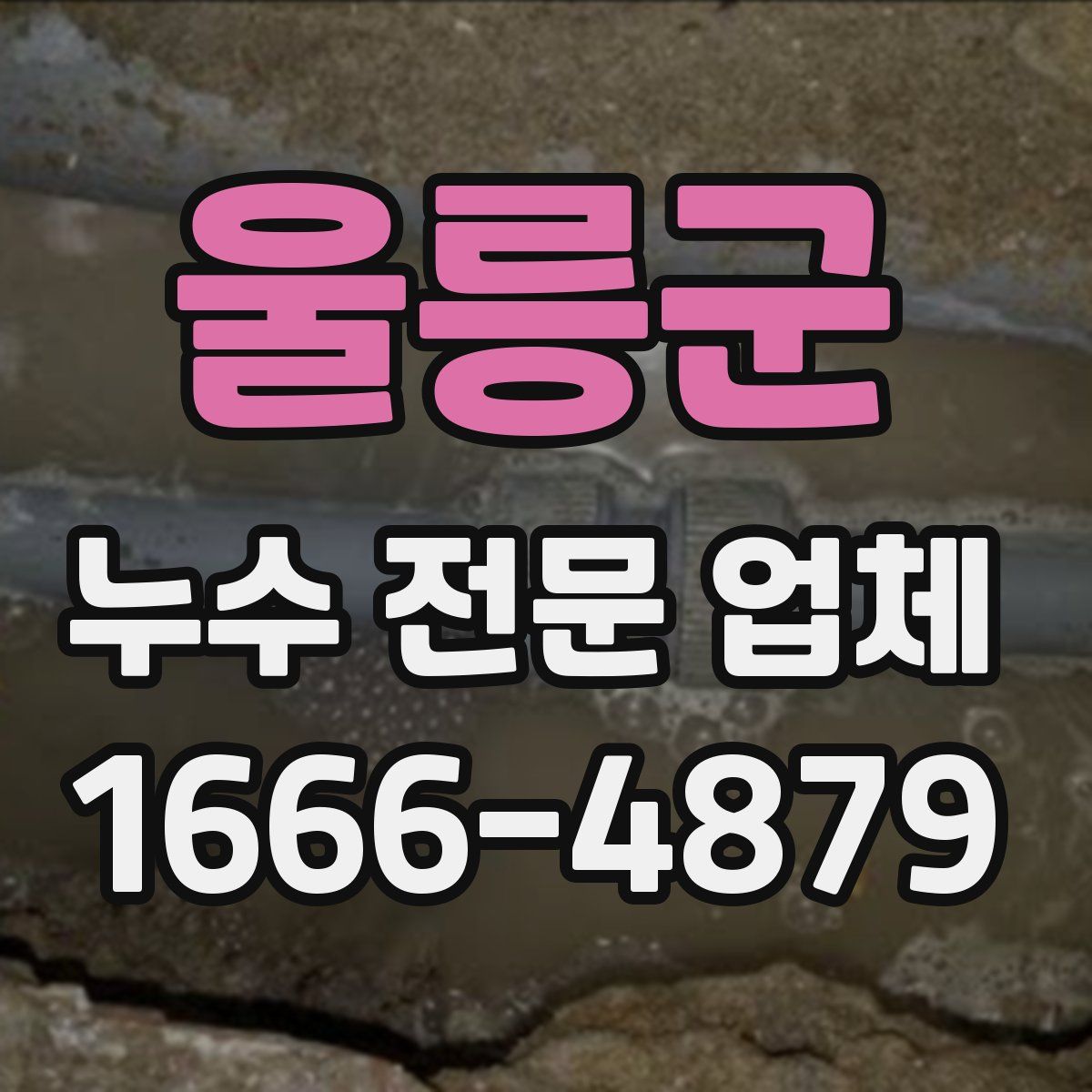울릉군 누수 전문 업체
