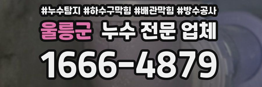 울릉군 누수 전문 업체