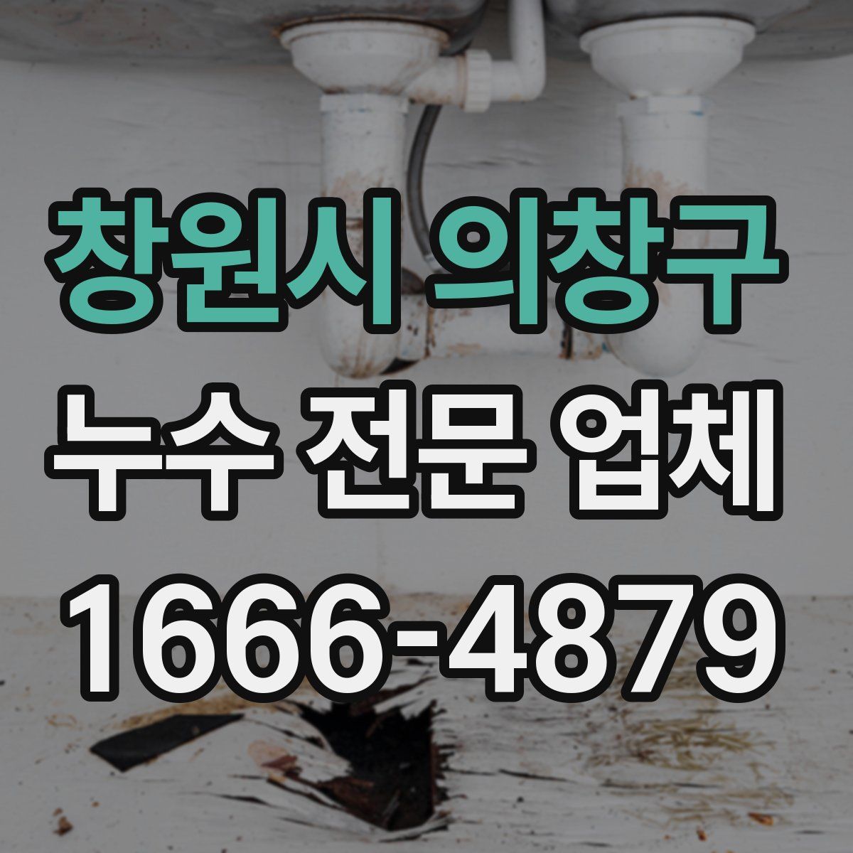 창원시 의창구 누수 전문 업체