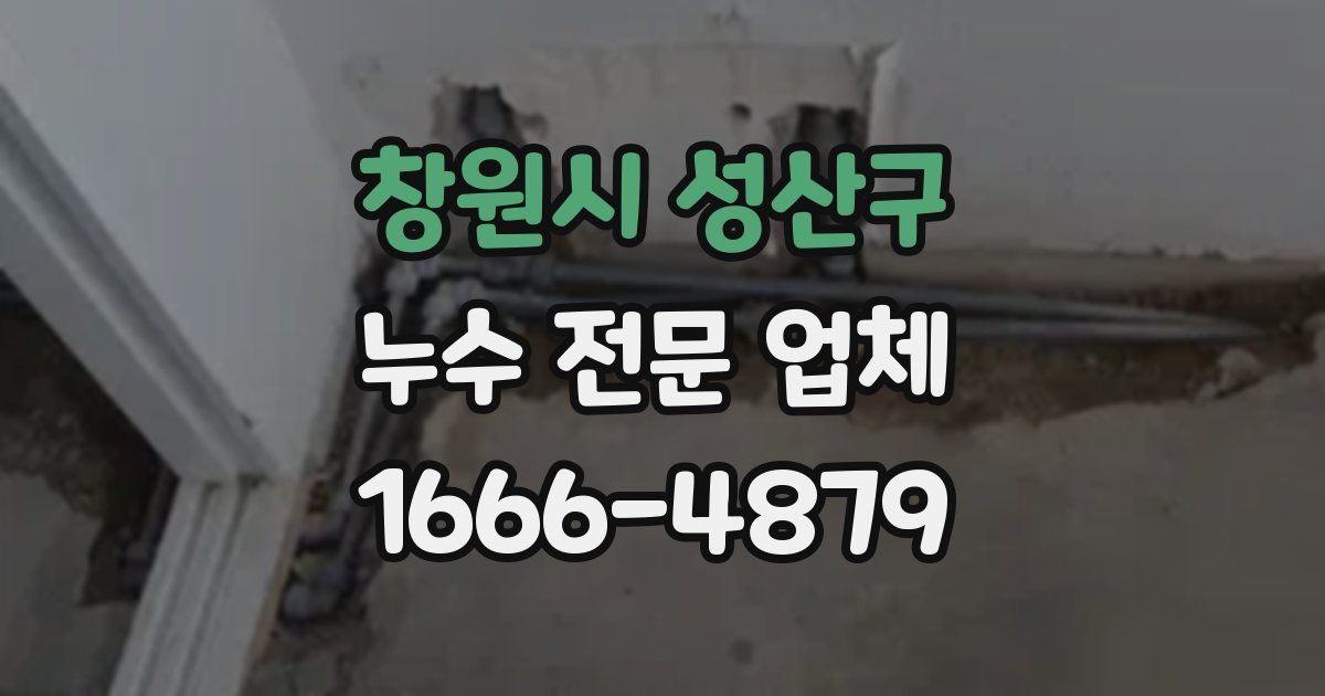 창원시 성산구 누수 전문 업체