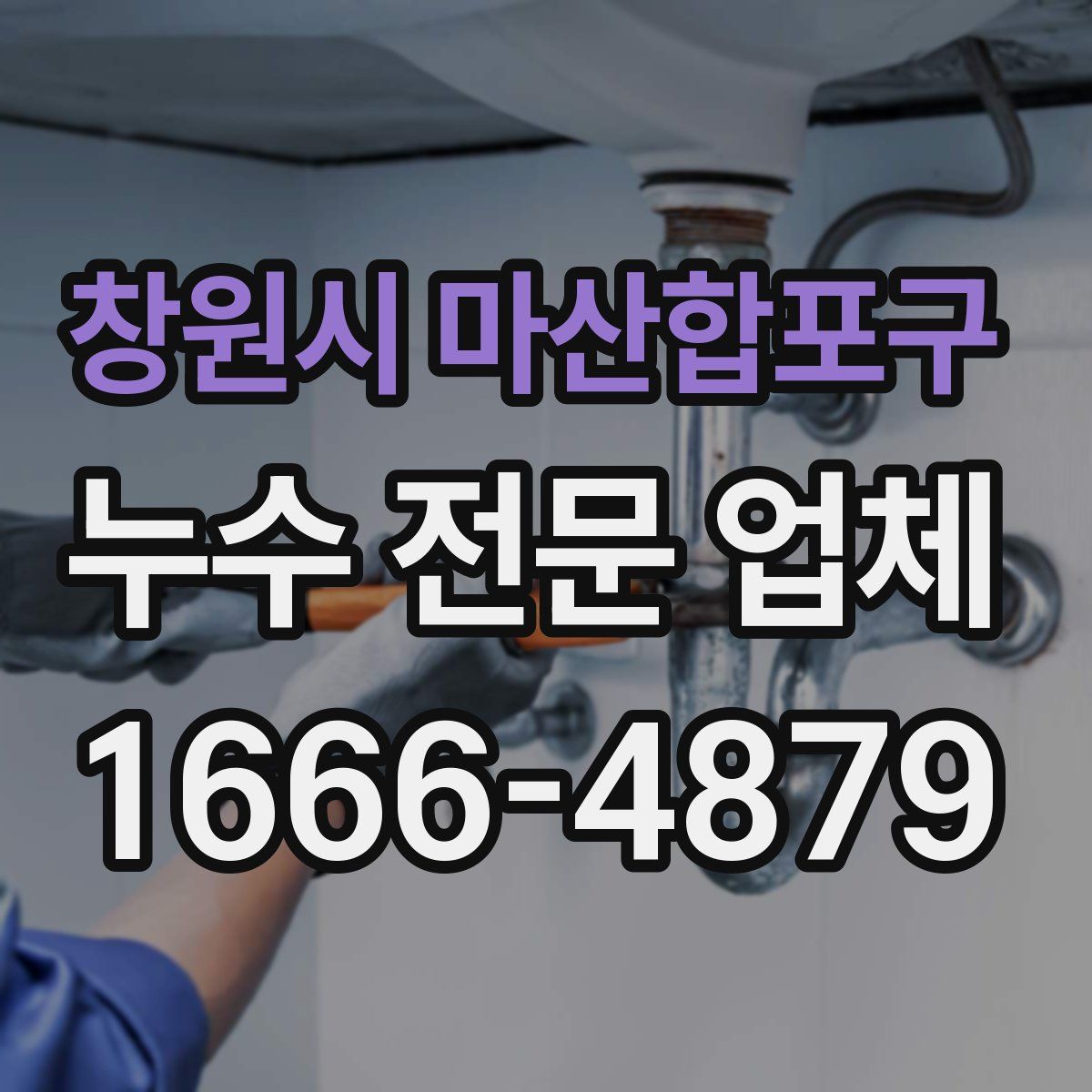 창원시 마산합포구 누수 전문 업체