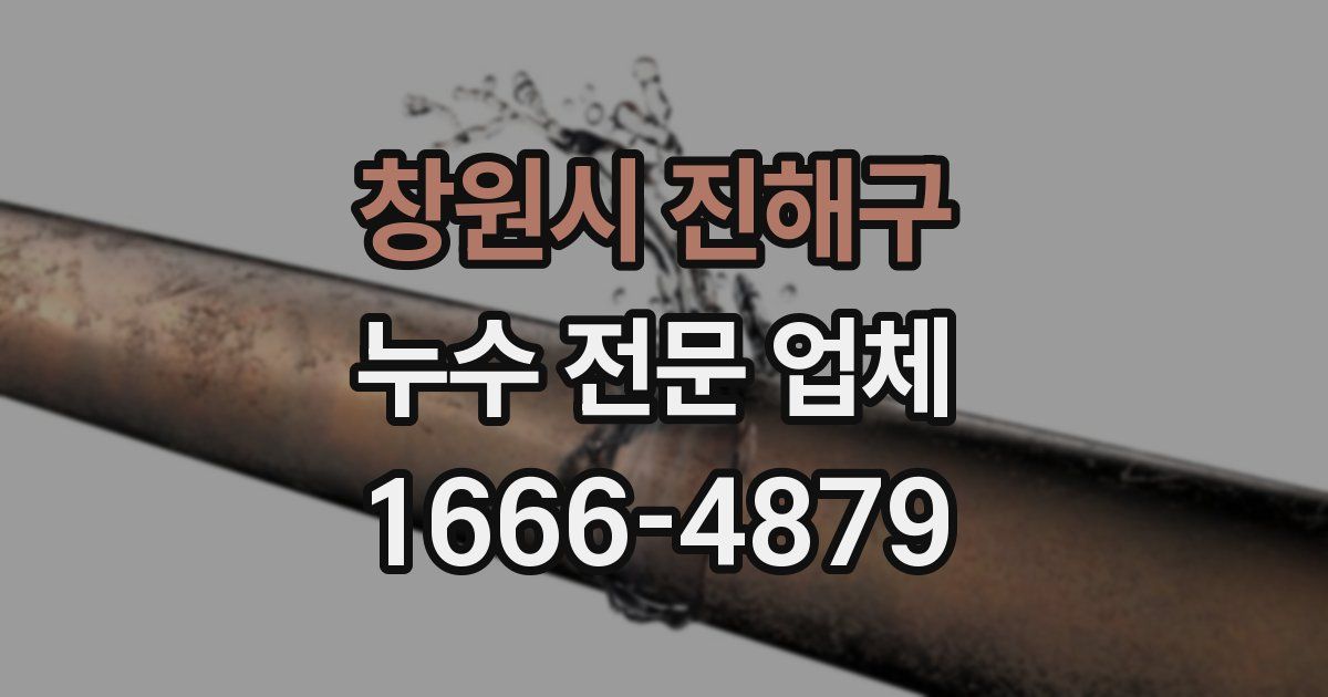 창원시 진해구 누수 전문 업체
