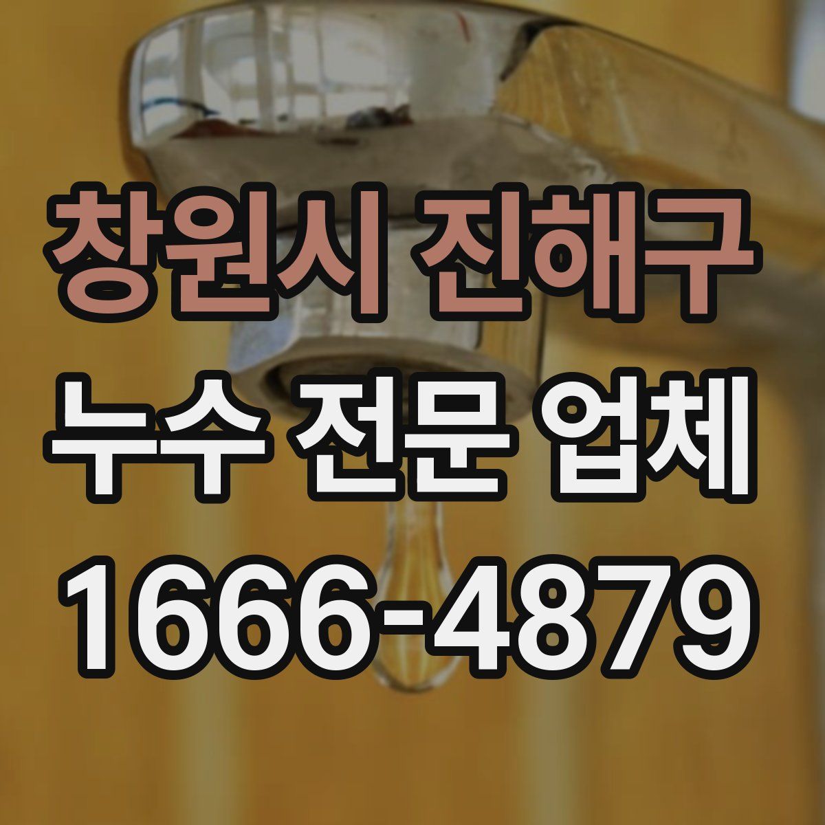 창원시 진해구 누수 전문 업체