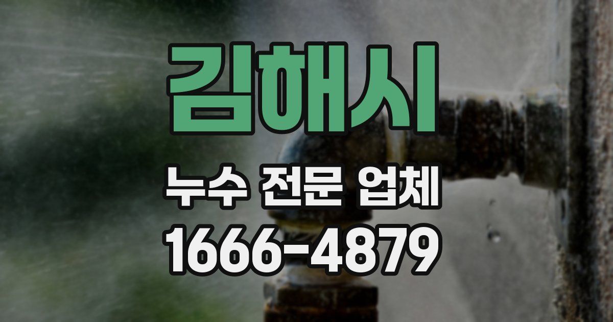 김해시 누수 전문 업체