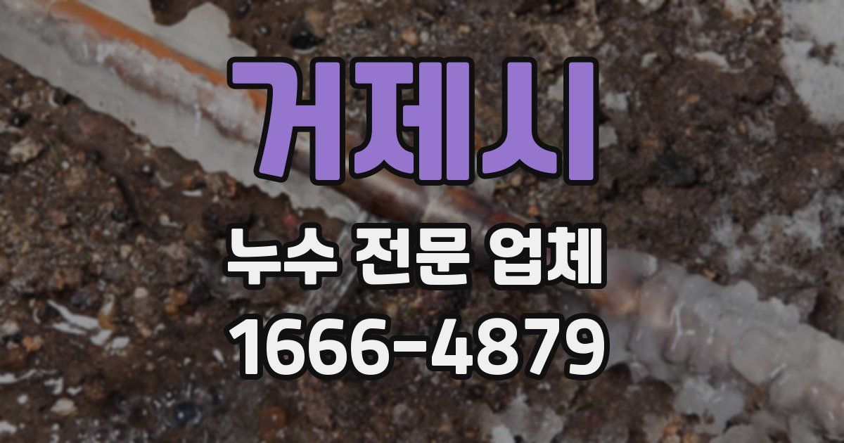 거제시 누수 전문 업체