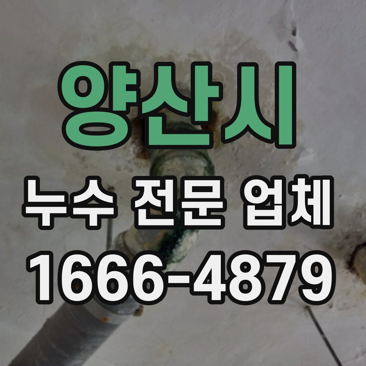 양산시 누수 전문 업체