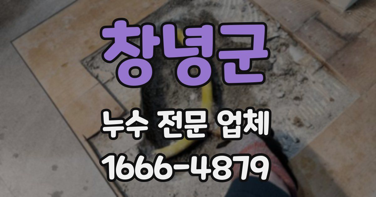 창녕군 누수 전문 업체