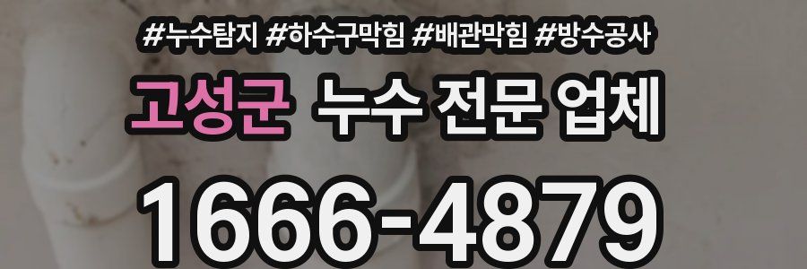 고성군 누수 전문 업체