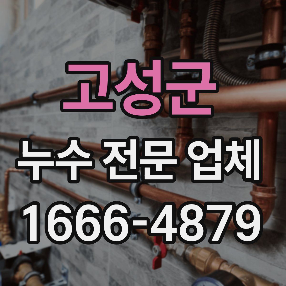 고성군 누수 전문 업체