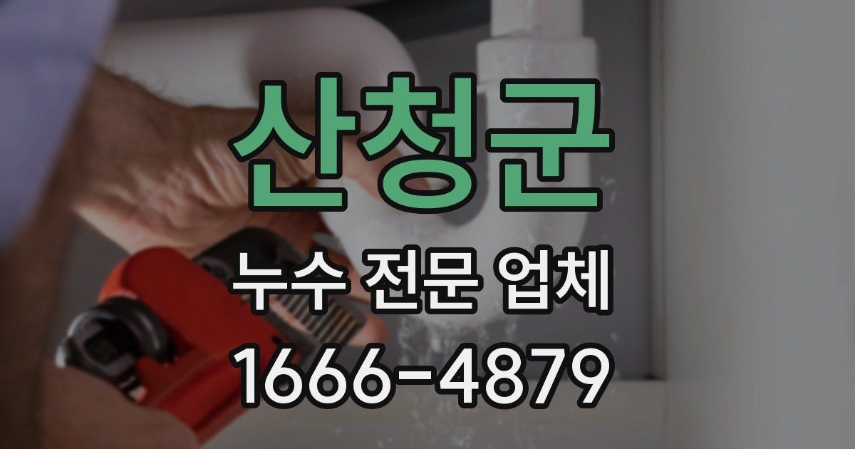 산청군 누수 전문 업체