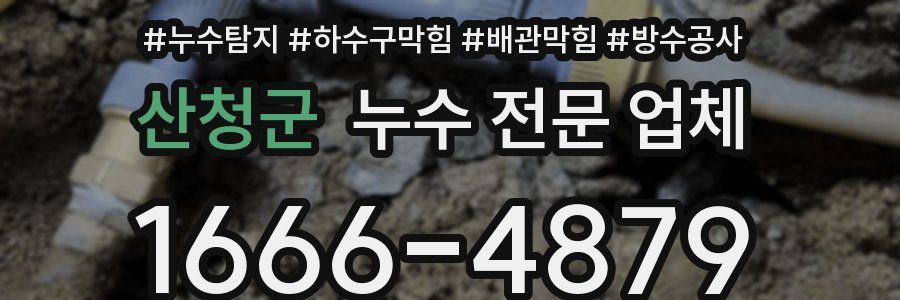 산청군 누수 전문 업체