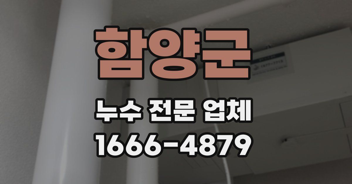 함양군 누수 전문 업체