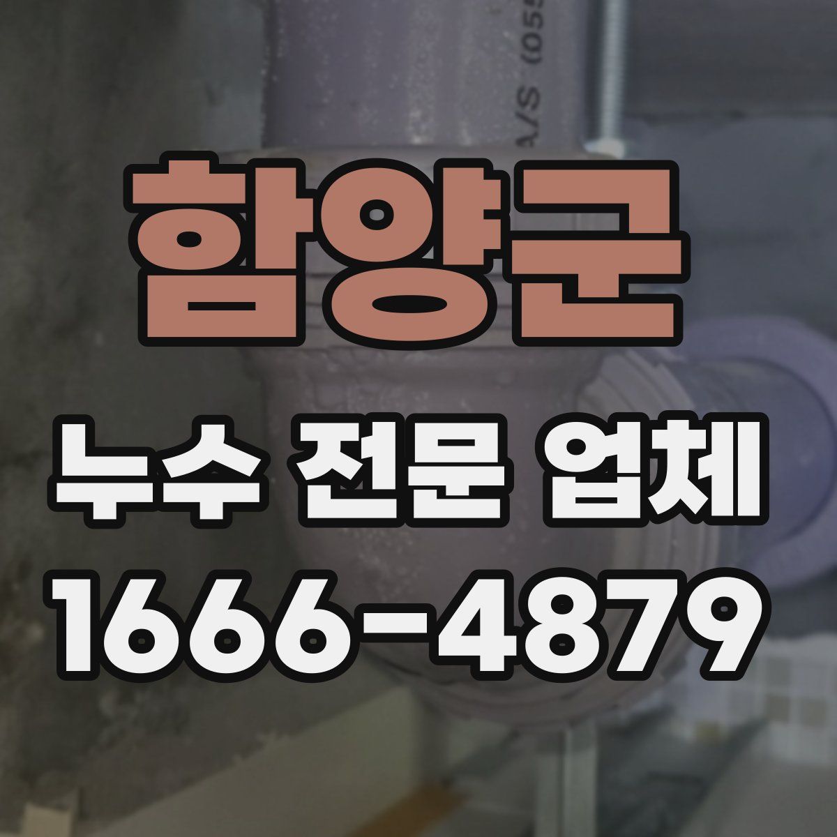 함양군 누수 전문 업체