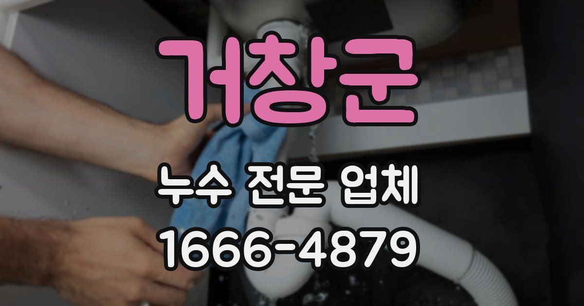 거창군 누수 전문 업체