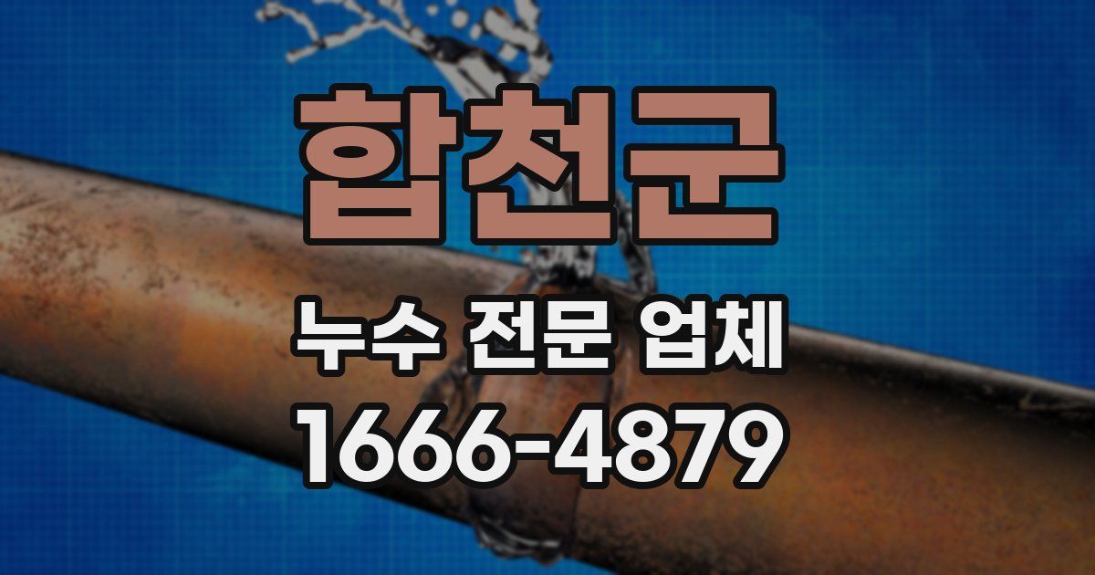 합천군 누수 전문 업체