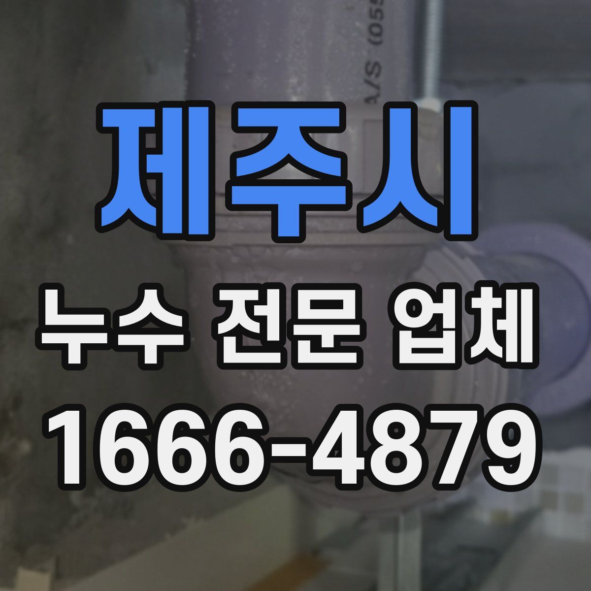 제주시 누수 전문 업체
