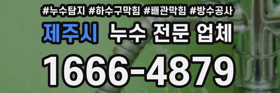 제주시 누수 전문 업체