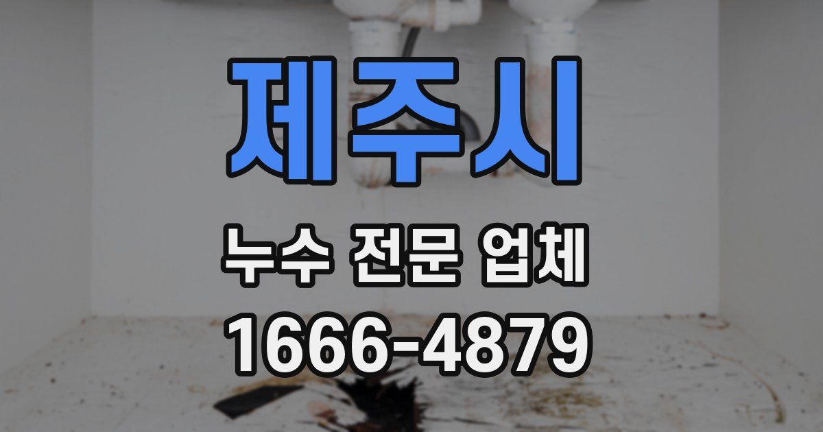 제주시 누수 전문 업체