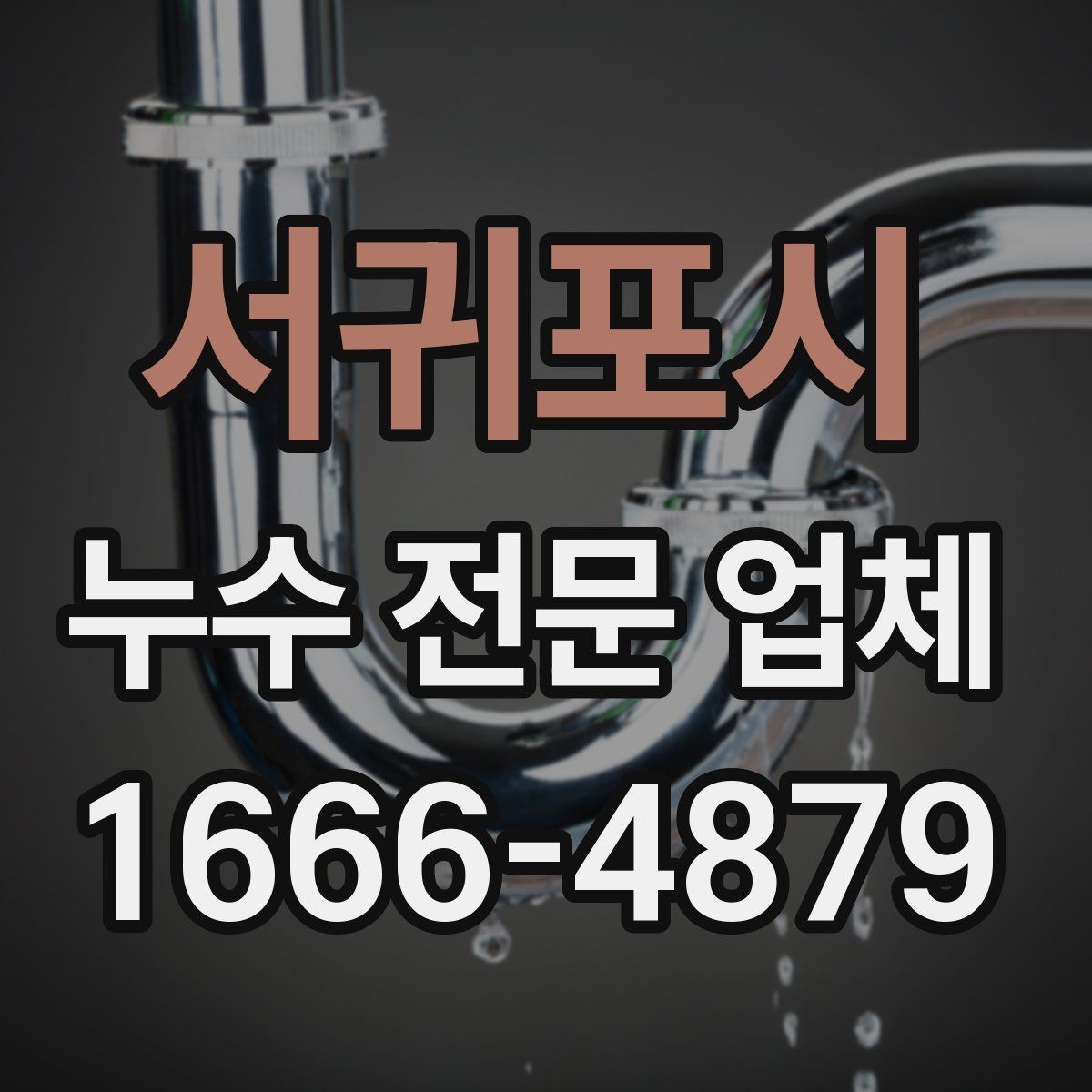 서귀포시 누수 전문 업체