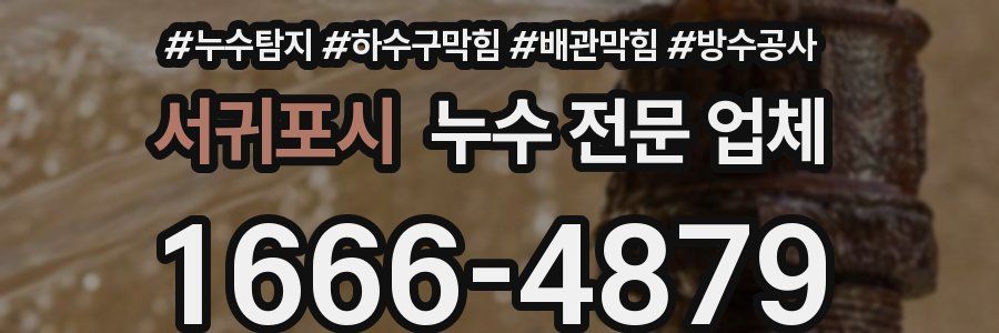 서귀포시 누수 전문 업체