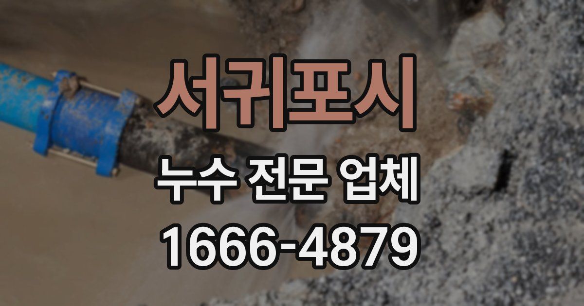 서귀포시 누수 전문 업체