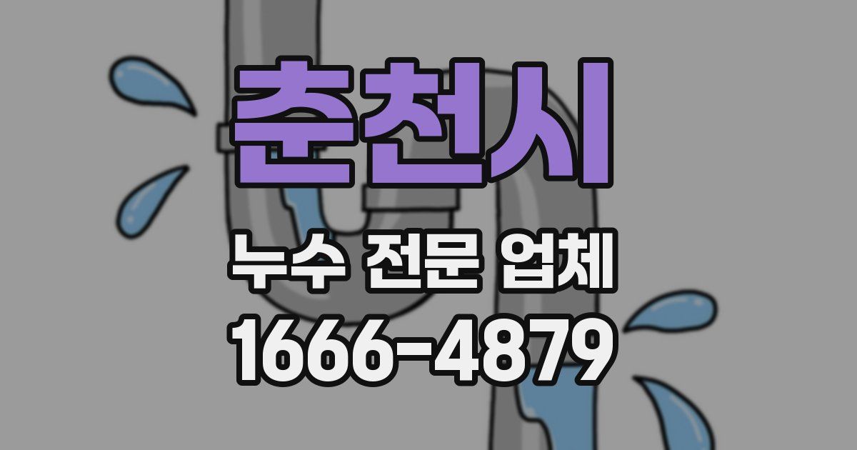 춘천시 누수 전문 업체