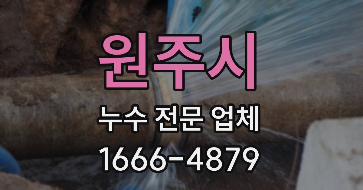 원주시 누수 전문 업체