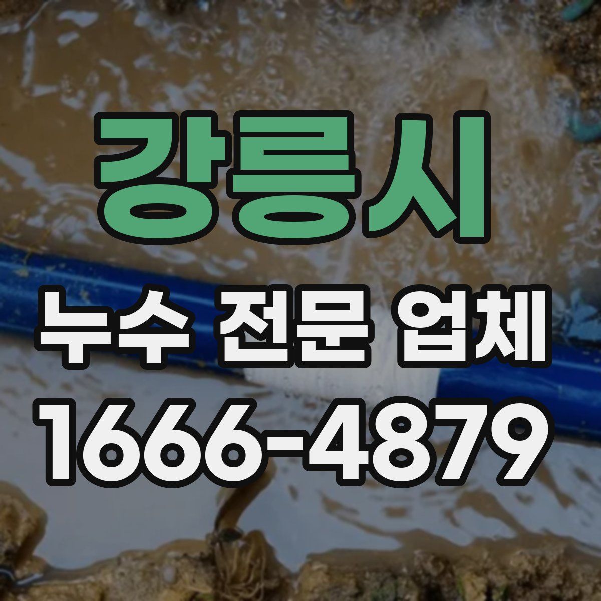 강릉시 누수 전문 업체