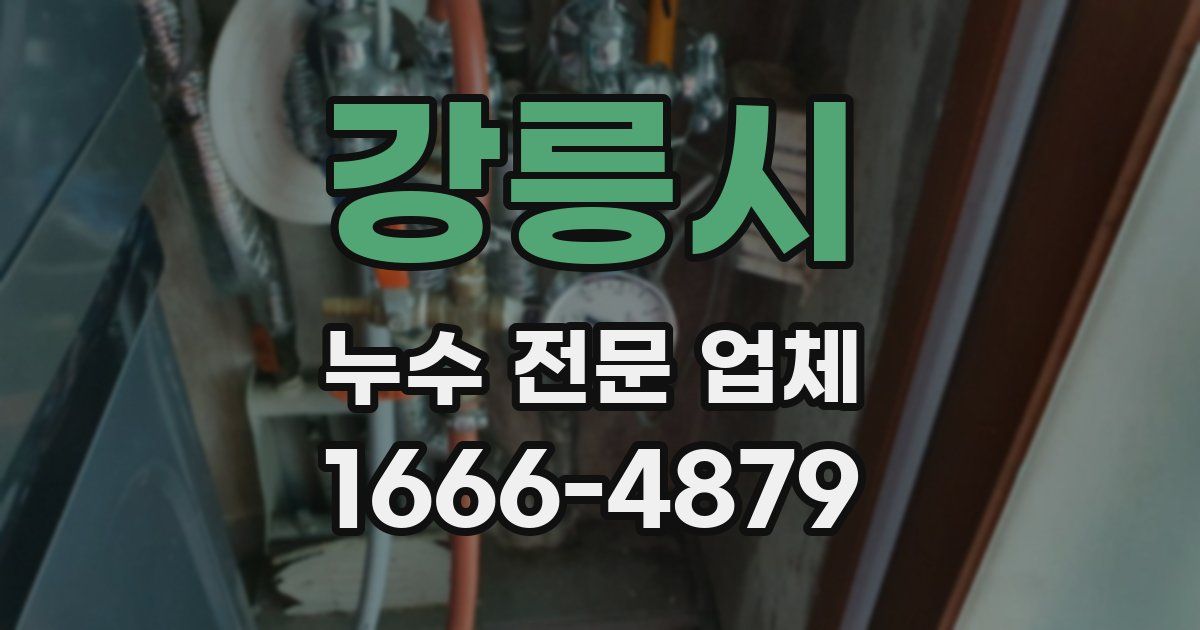 강릉시 누수 전문 업체