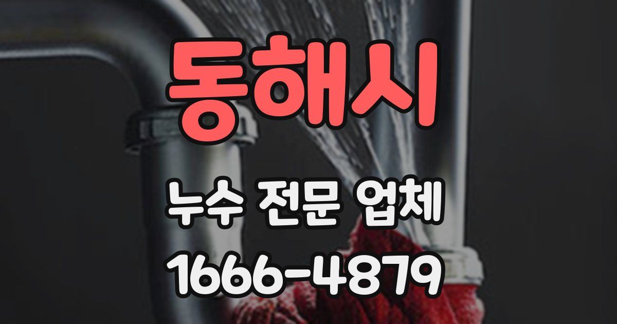 동해시 누수 전문 업체
