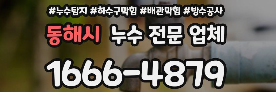 동해시 누수 전문 업체