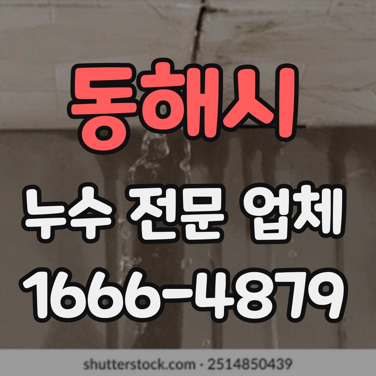 동해시 누수 전문 업체