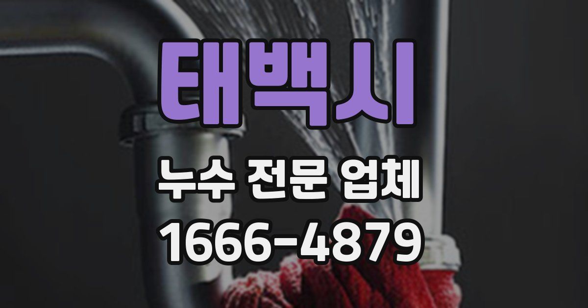 태백시 누수 전문 업체