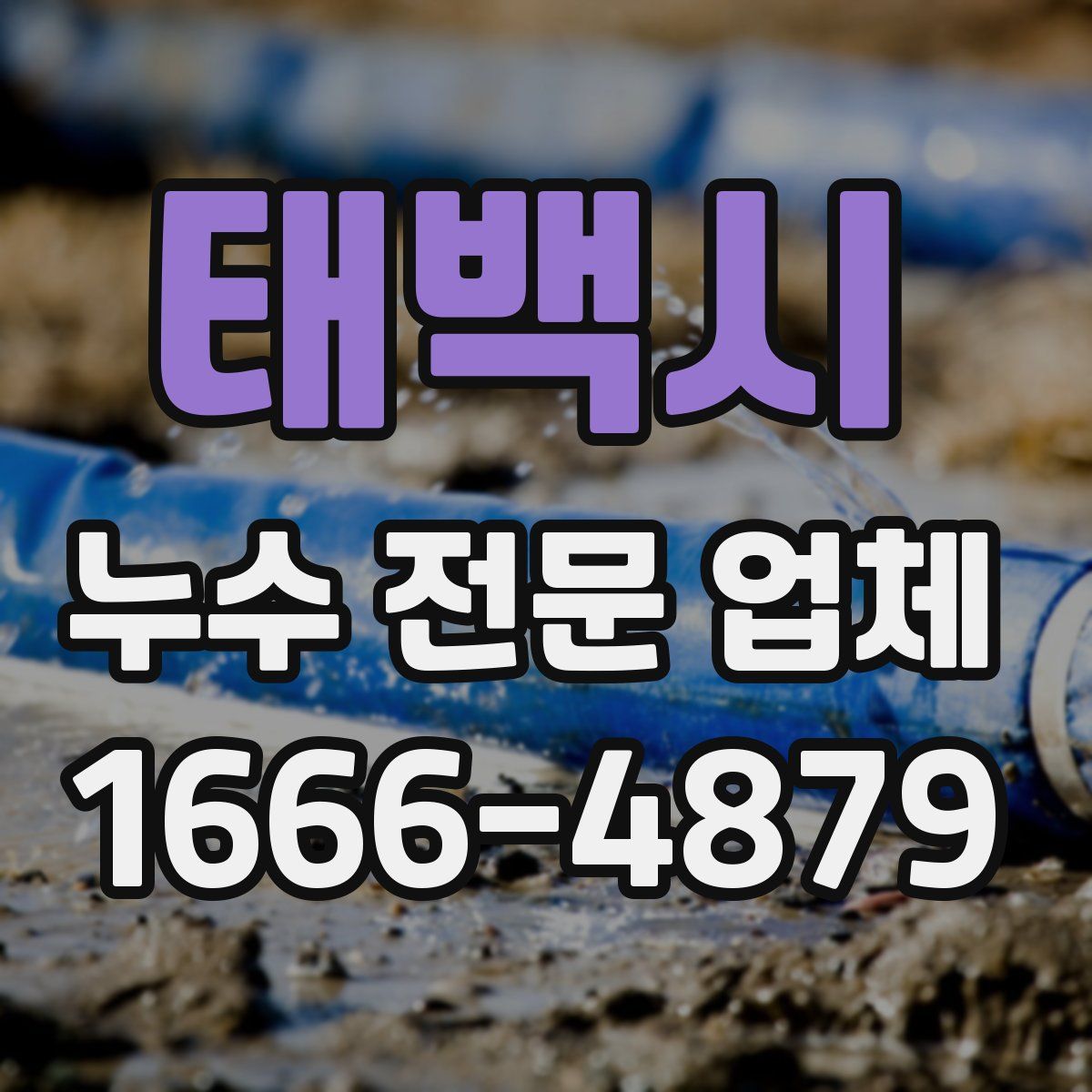 태백시 누수 전문 업체