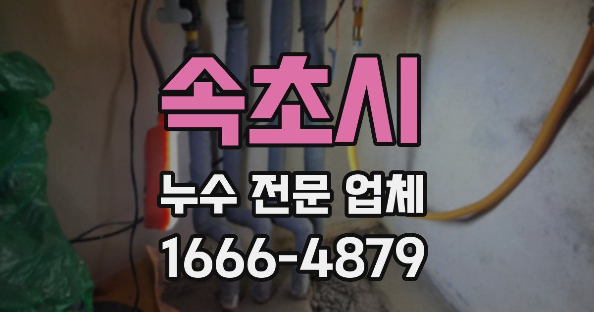 속초시 누수 전문 업체