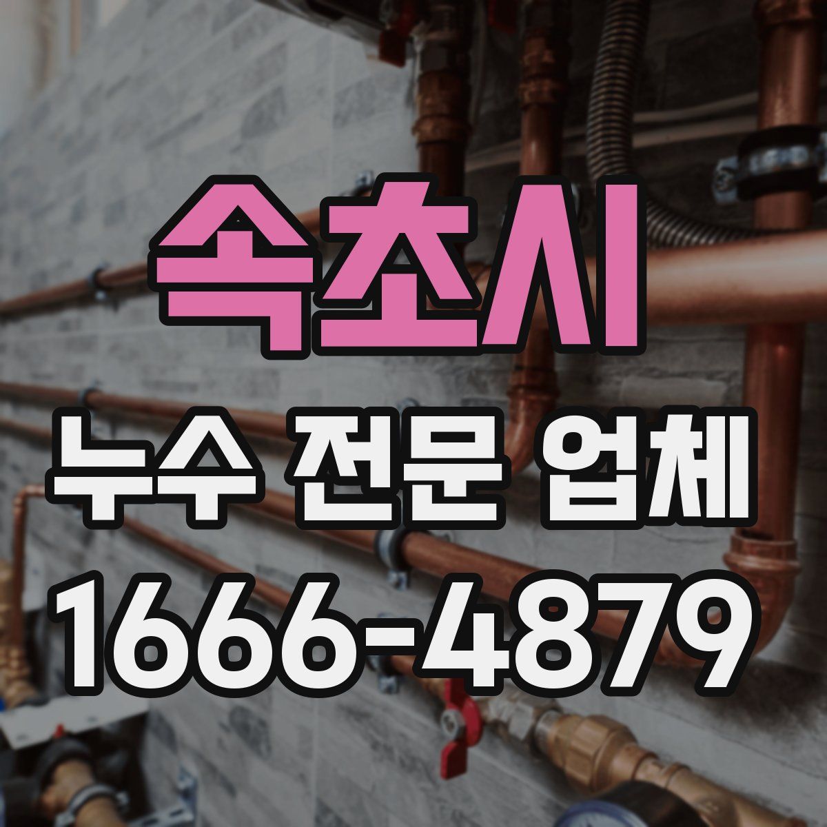 속초시 누수 전문 업체