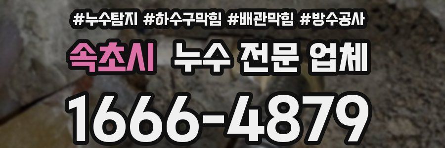 속초시 누수 전문 업체