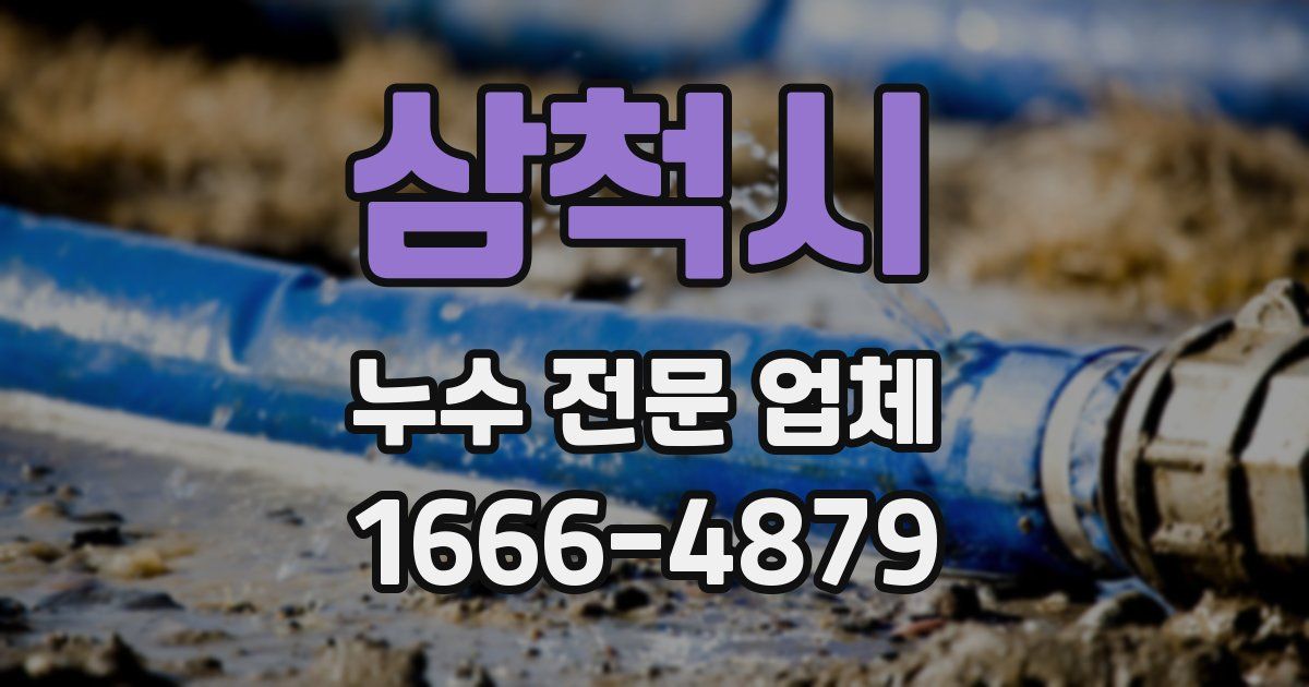 삼척시 누수 전문 업체