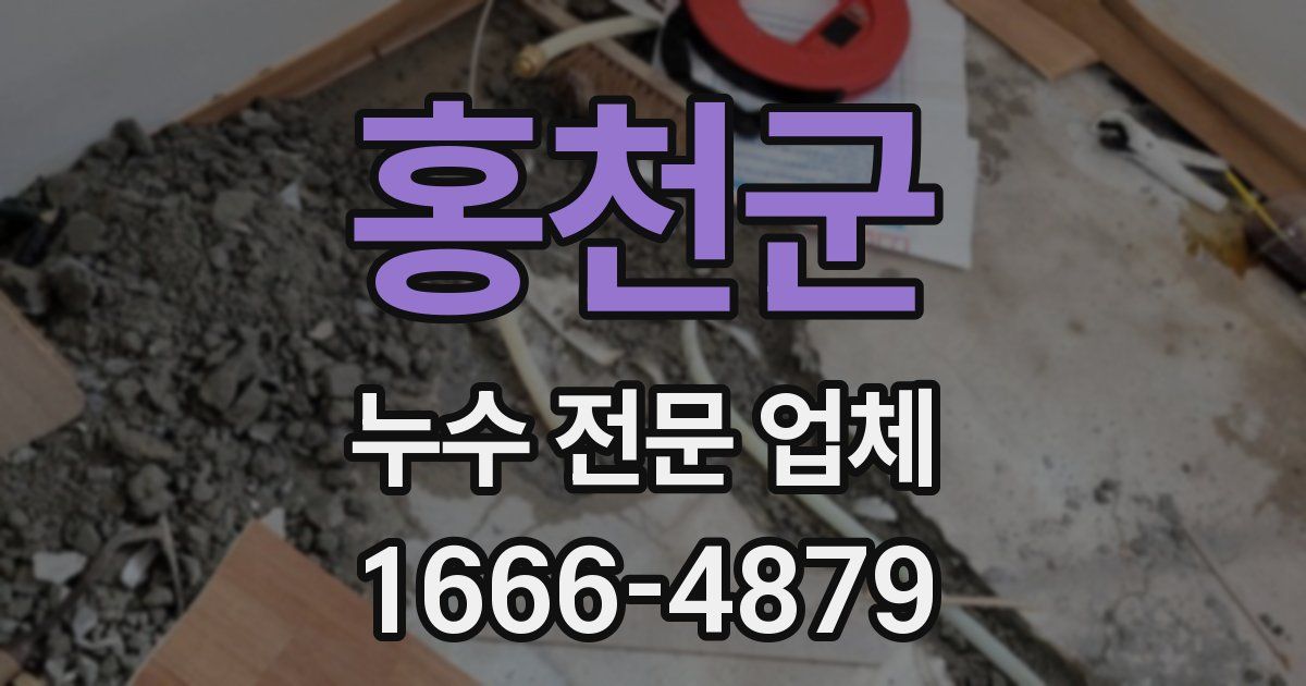 홍천군 누수 전문 업체