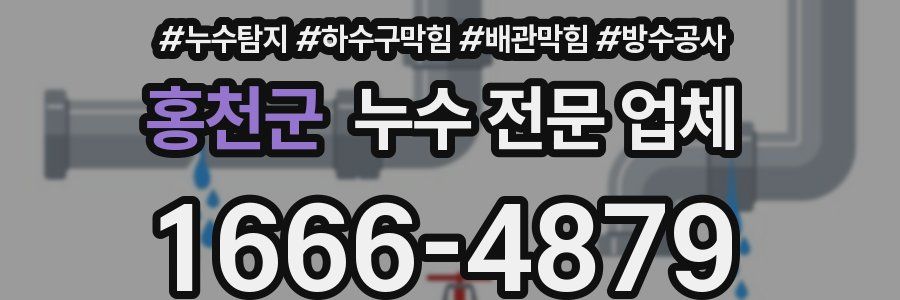 홍천군 누수 전문 업체