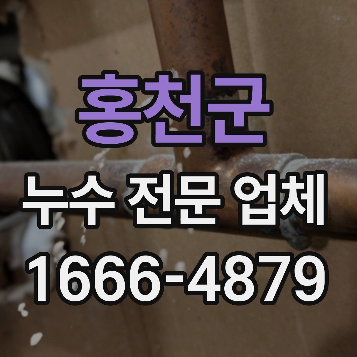 홍천군 누수 전문 업체