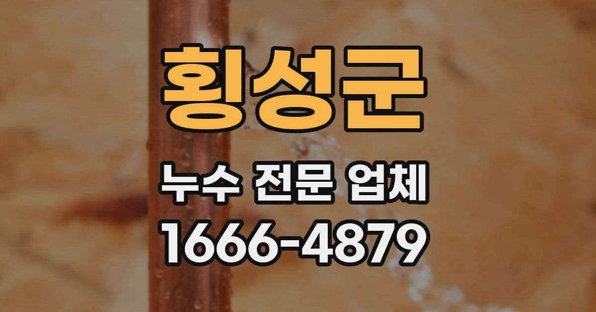 횡성군 누수 전문 업체