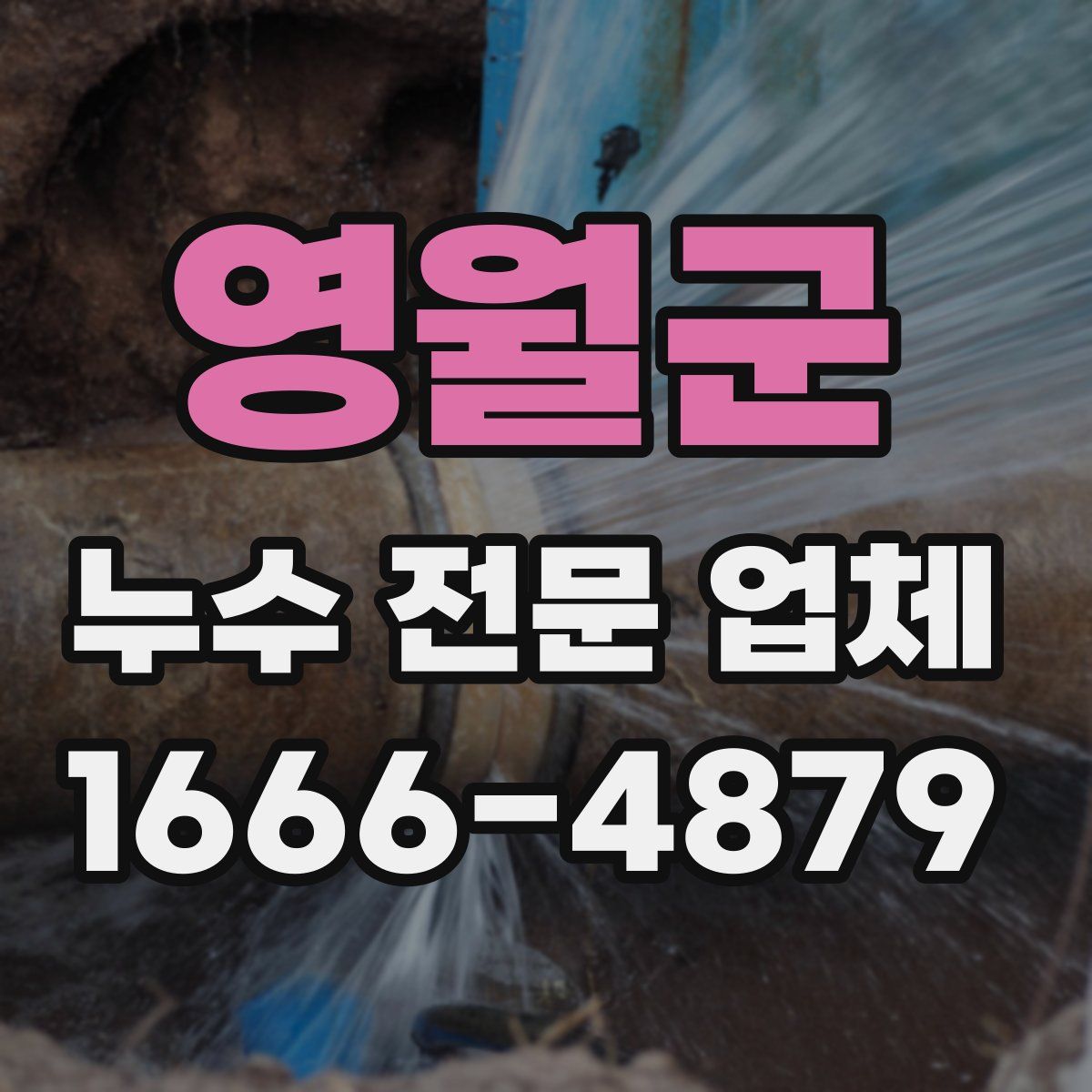 영월군 누수 전문 업체