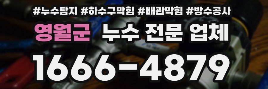 영월군 누수 전문 업체