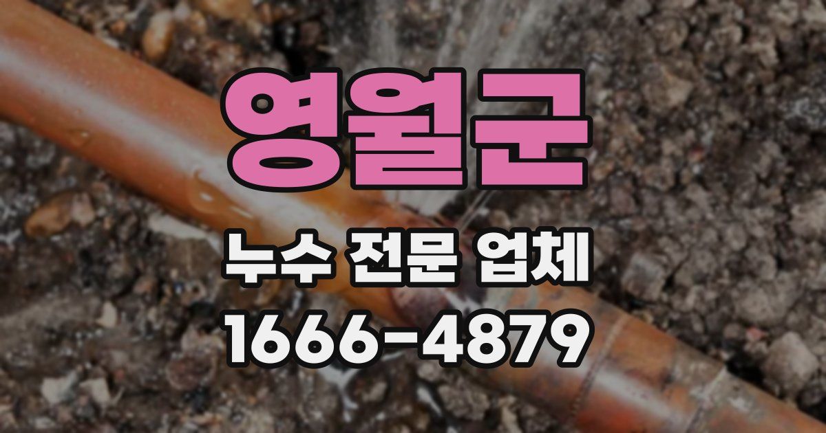 영월군 누수 전문 업체