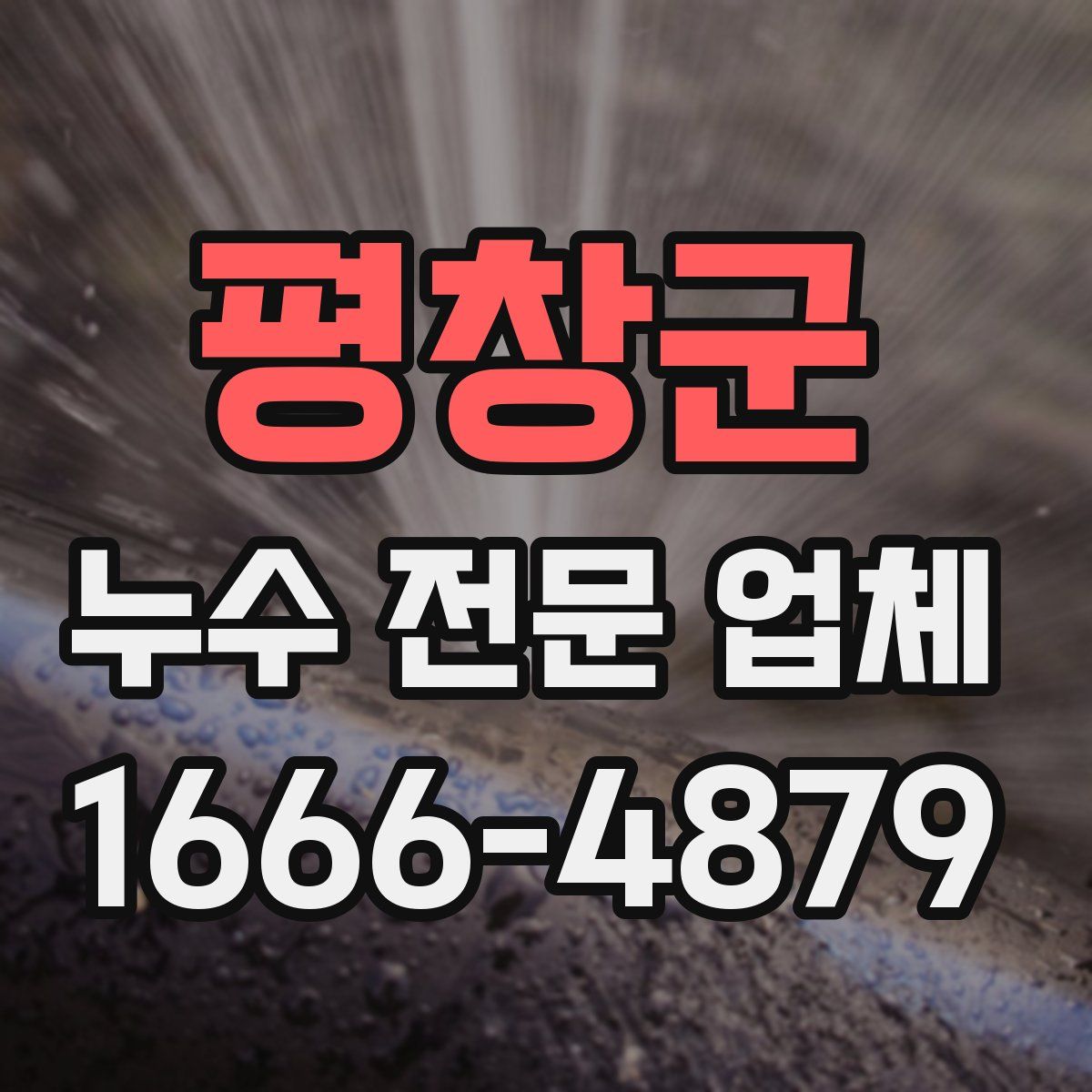 평창군 누수 전문 업체
